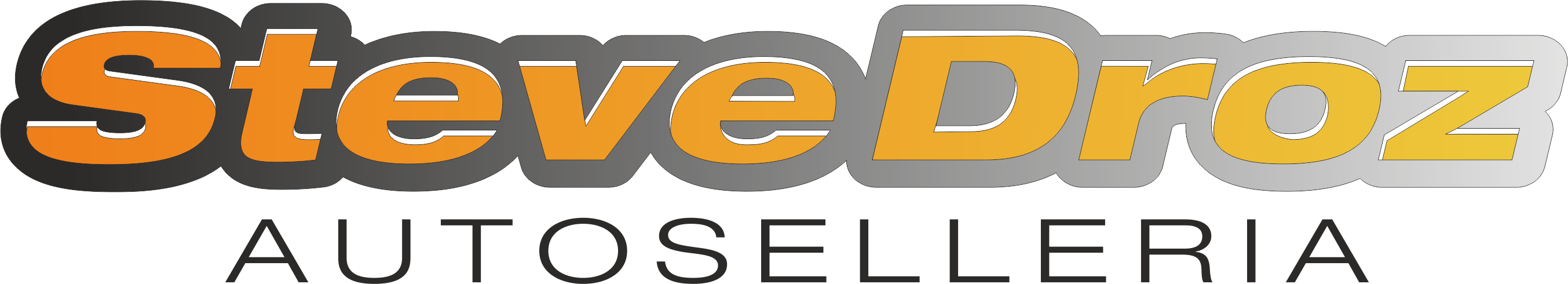 Autoselleria Logo